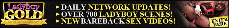 ladyboy gold network